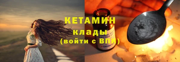 хмурый Аркадак