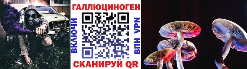 ОМГ ОМГ вход  Аркадак  нарко площадка какой сайт  даркнет сайт  Псилоцибиновые грибы Psilocybine cubensis 
